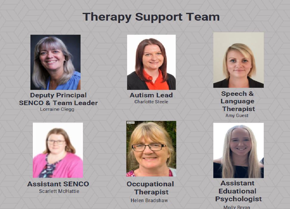 Therapy Team